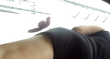 Se quitó el pequeño bikini de sexo con señoras viudas la zorra y comenzó a follar con avidez